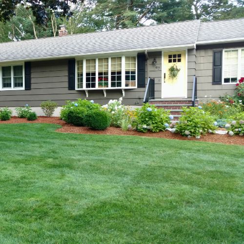 lawn aeration service