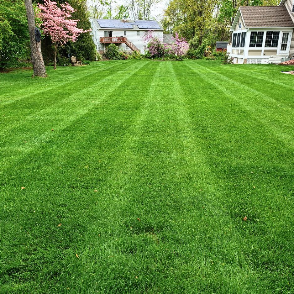 lawn care services north haven
