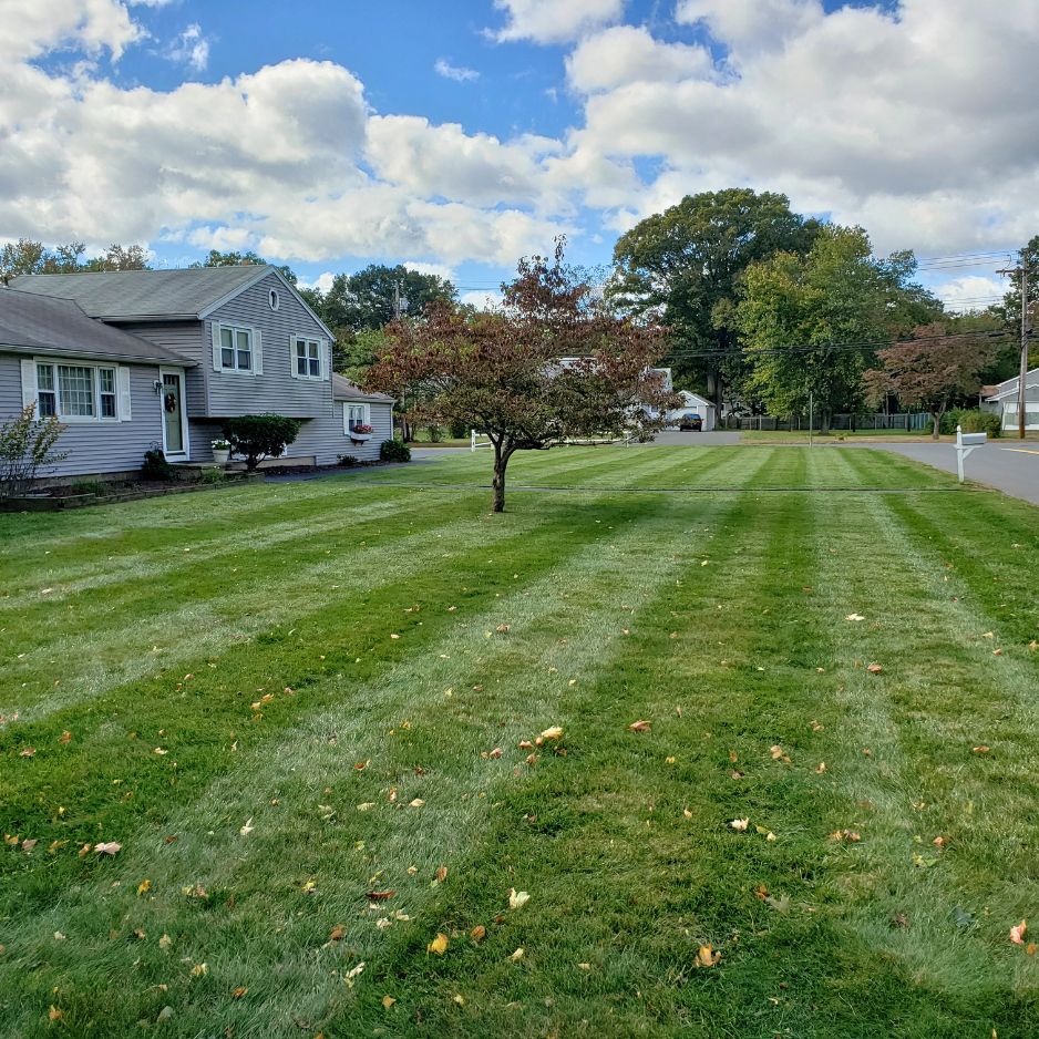 lawn overseeding north haven