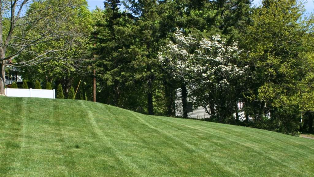 weed control north haven