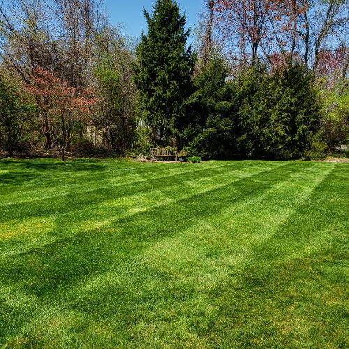 weeds and weed control
